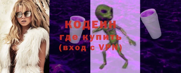 прущие грибы Абаза