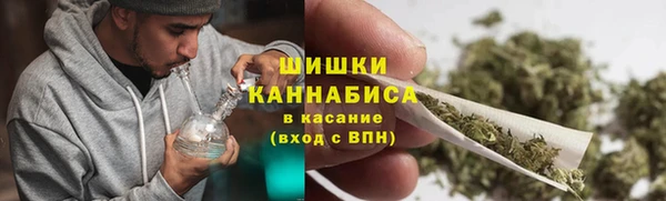 ПСИЛОЦИБИНОВЫЕ ГРИБЫ Алексин