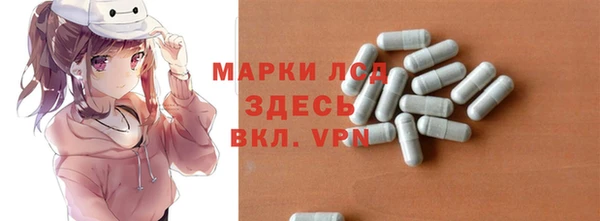 прущие грибы Абаза