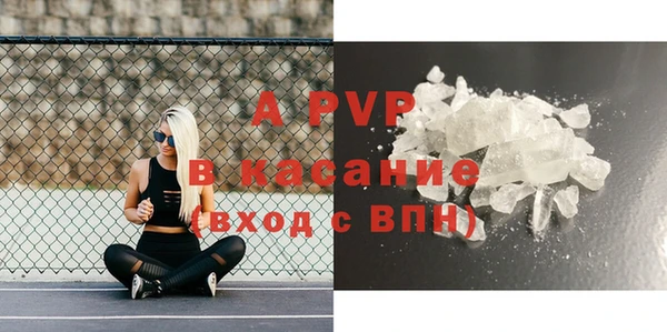 прущие грибы Абаза