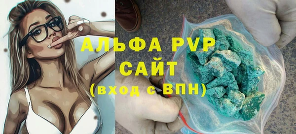 прущие грибы Абаза
