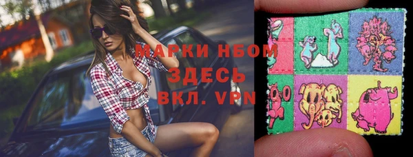 прущие грибы Абаза