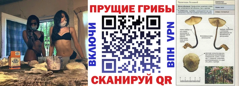 маркетплейс клад купить Сыктывкар Галлюциногенные грибы Magic Shrooms