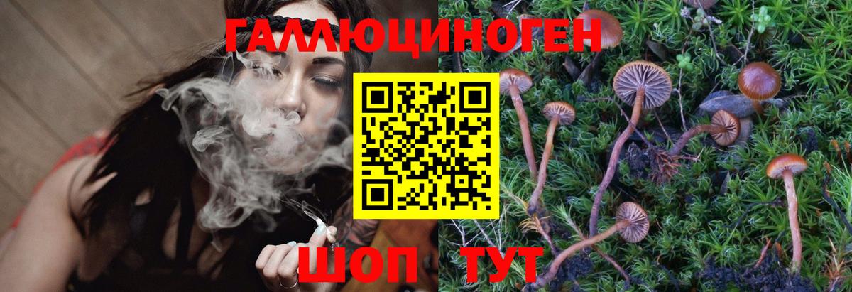 Сыктывкар  Псилоцибиновые грибы Magic Shrooms  Вход с VPN  Галлюциногенные грибы GOLDEN TEACHER 